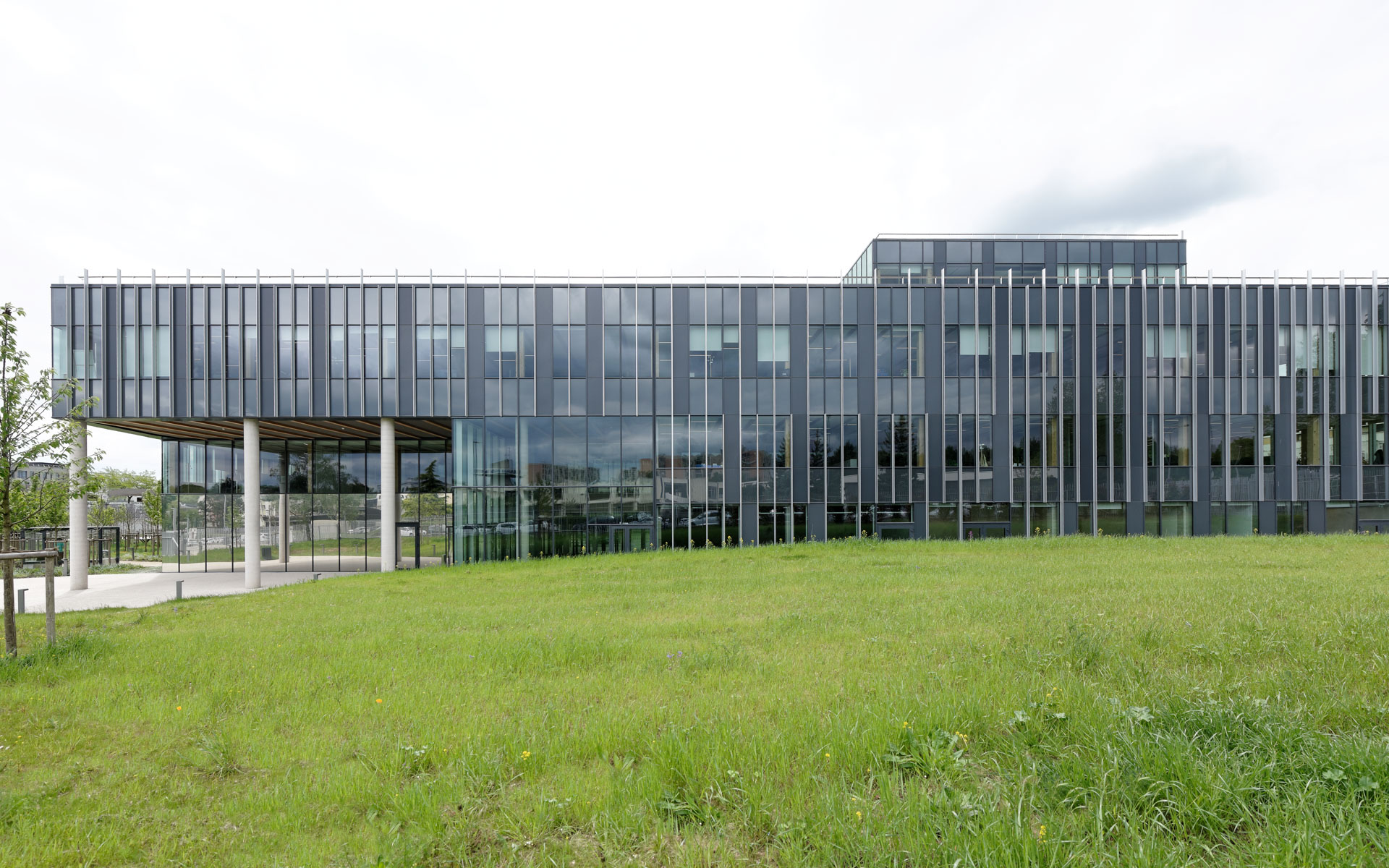 #475_Laxou-Champs-le-Boeuf_Tertiaire-02